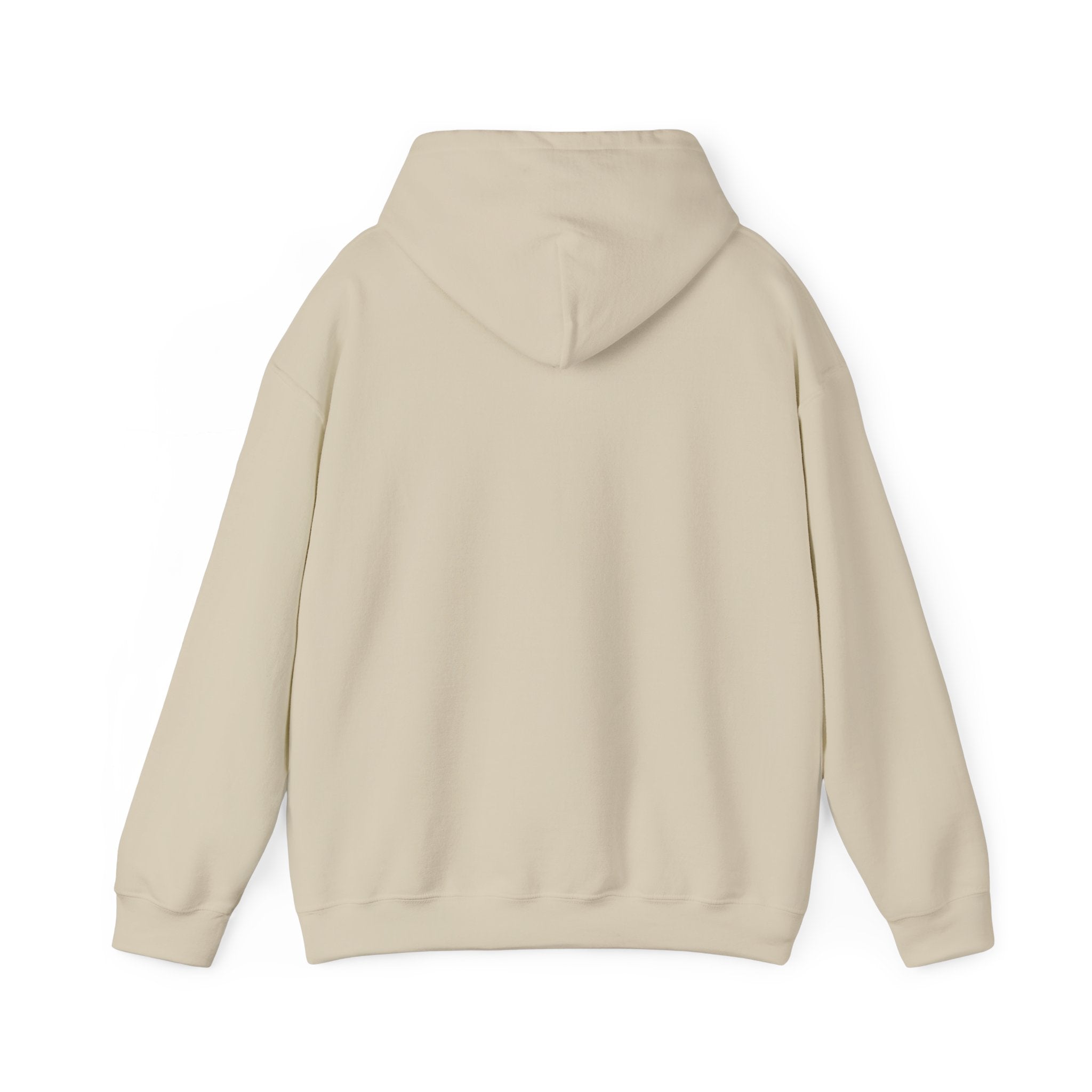 Cozy Unisex Hooded Sweatshirt - Perfect for Relaxation & Everyday Wear RTS Special Color Carolina Blue