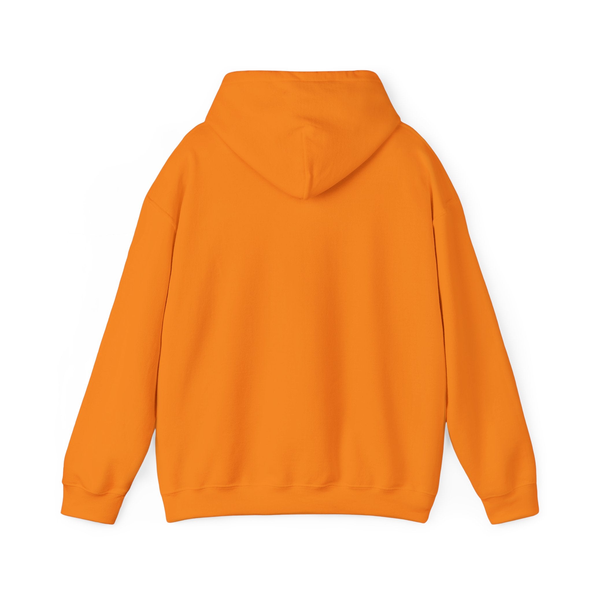 Cozy Unisex Hooded Sweatshirt - Perfect for Relaxation & Everyday Wear RTS Special Color Carolina Blue