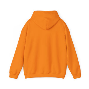 Cozy Unisex Hooded Sweatshirt - Perfect for Relaxation & Everyday Wear RTS Special Color Carolina Blue