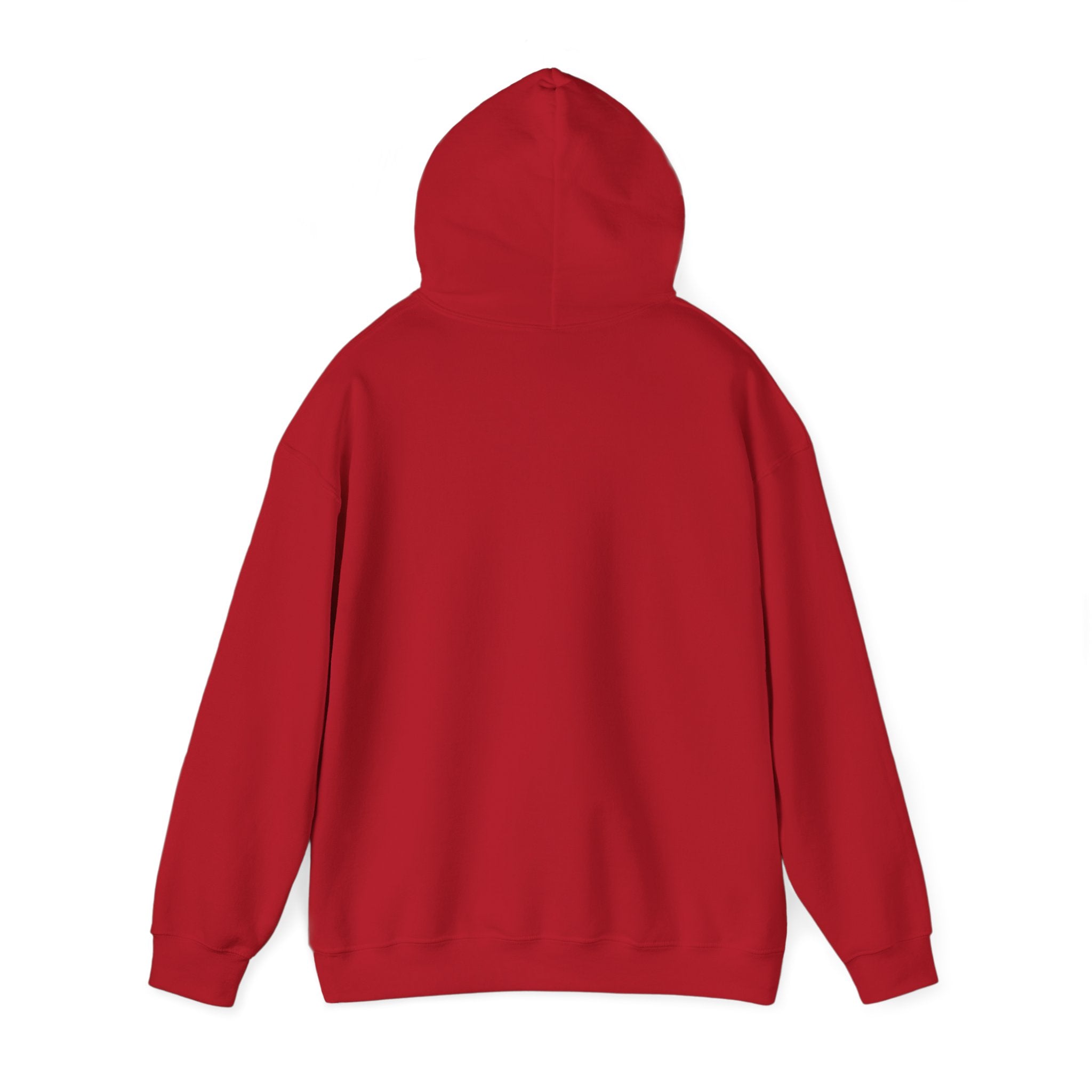 Cozy Unisex Hooded Sweatshirt - Perfect for Relaxation & Everyday Wear RTS Special Color Carolina Blue