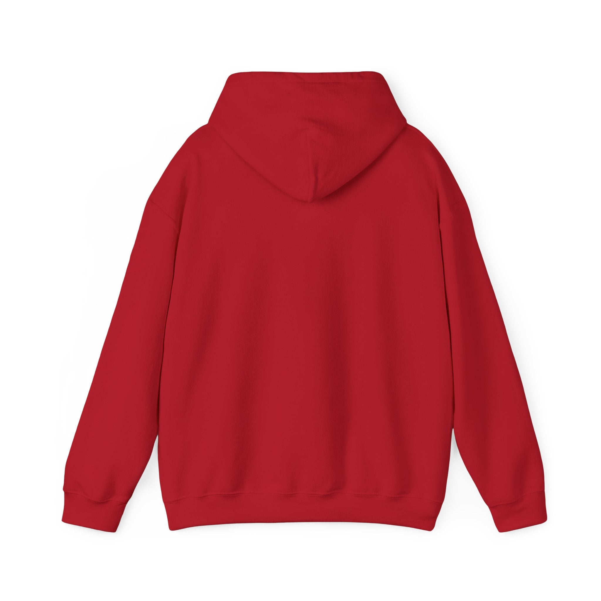 Cozy Unisex Hooded Sweatshirt - Perfect for Relaxation & Everyday Wear RTS Special Color Carolina Blue