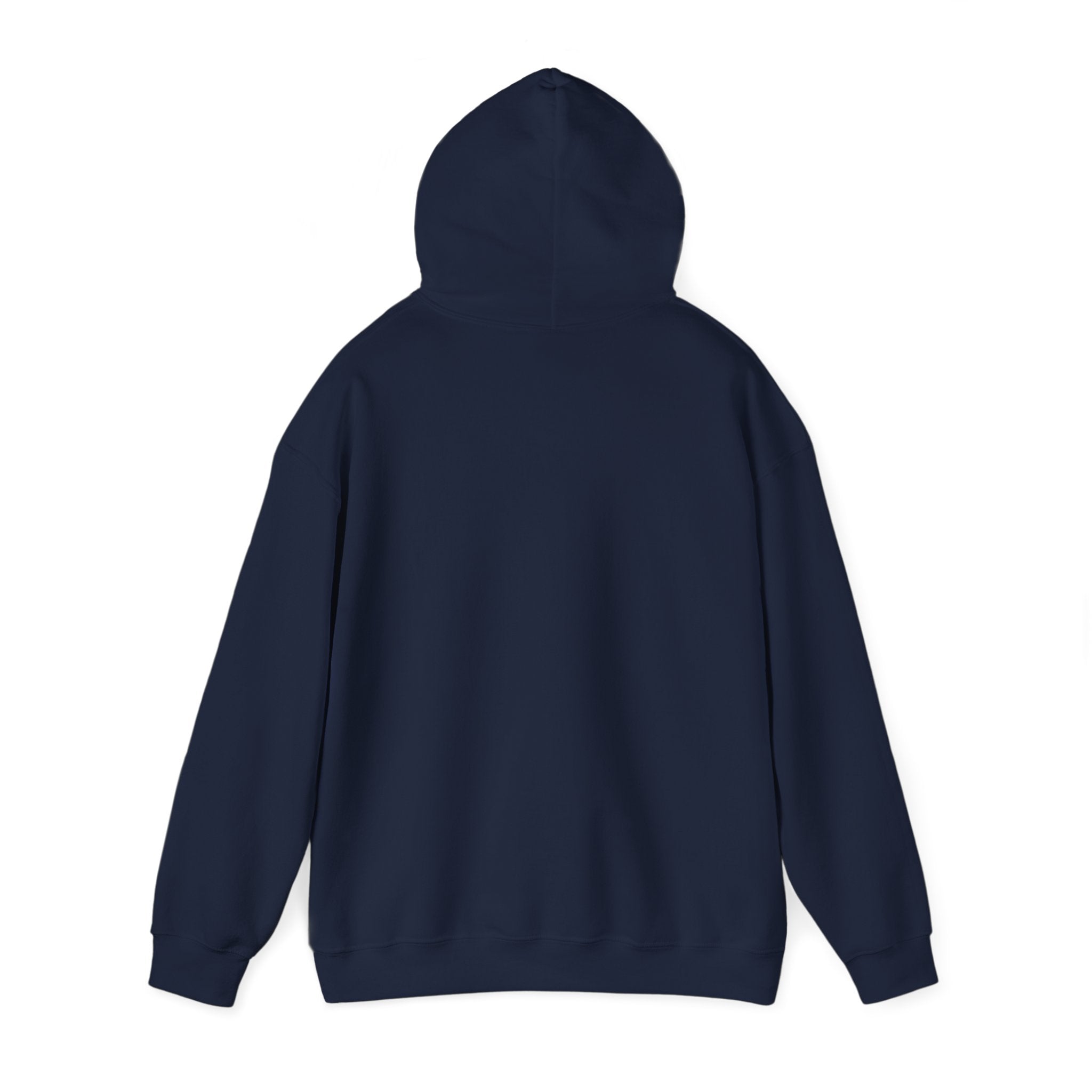 Cozy Unisex Hooded Sweatshirt - Perfect for Relaxation & Everyday Wear RTS Special Color Carolina Blue