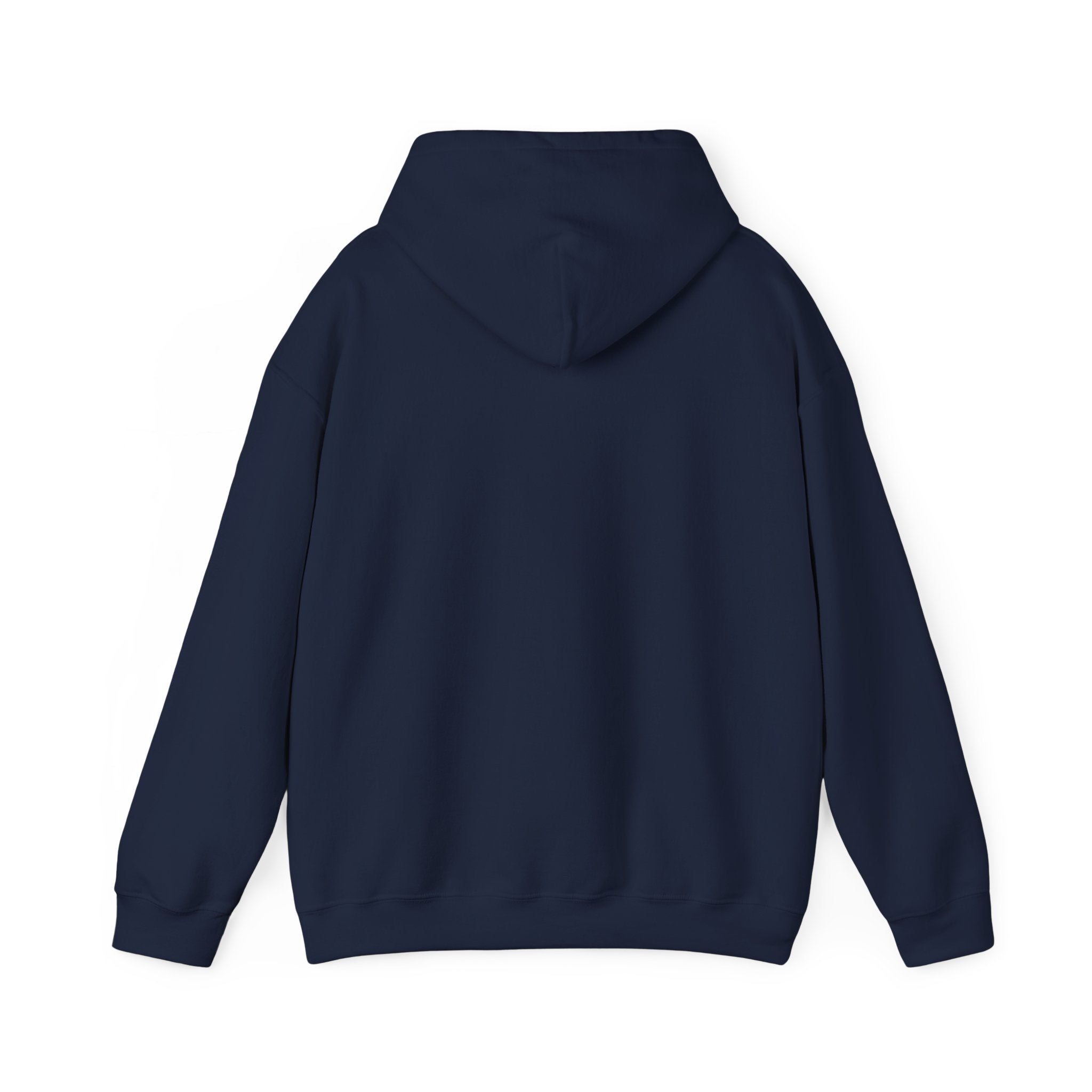 Cozy Unisex Hooded Sweatshirt - Perfect for Relaxation & Everyday Wear RTS Special Color Carolina Blue