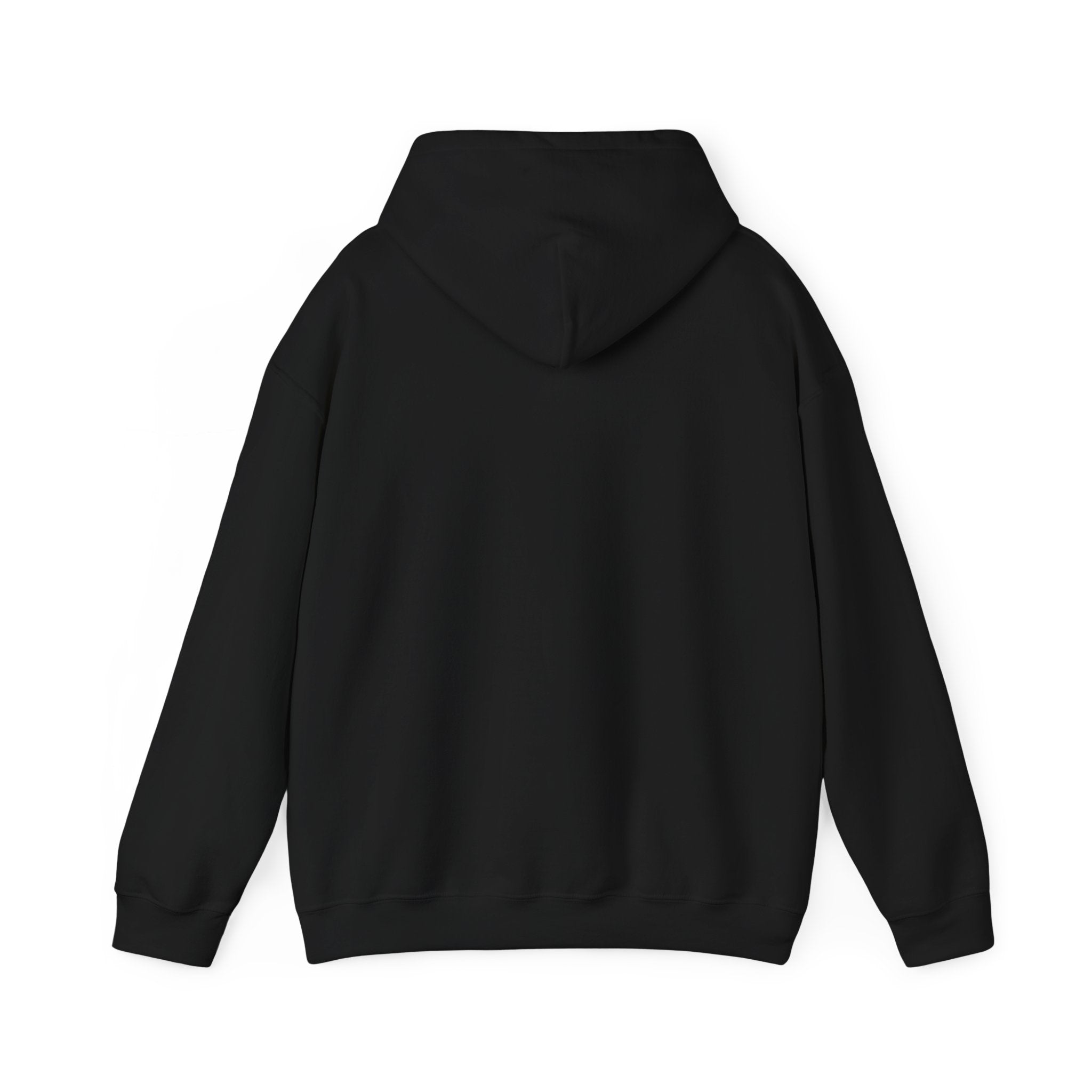 Cozy Unisex Hooded Sweatshirt - Perfect for Relaxation & Everyday Wear RTS Special Color Carolina Blue