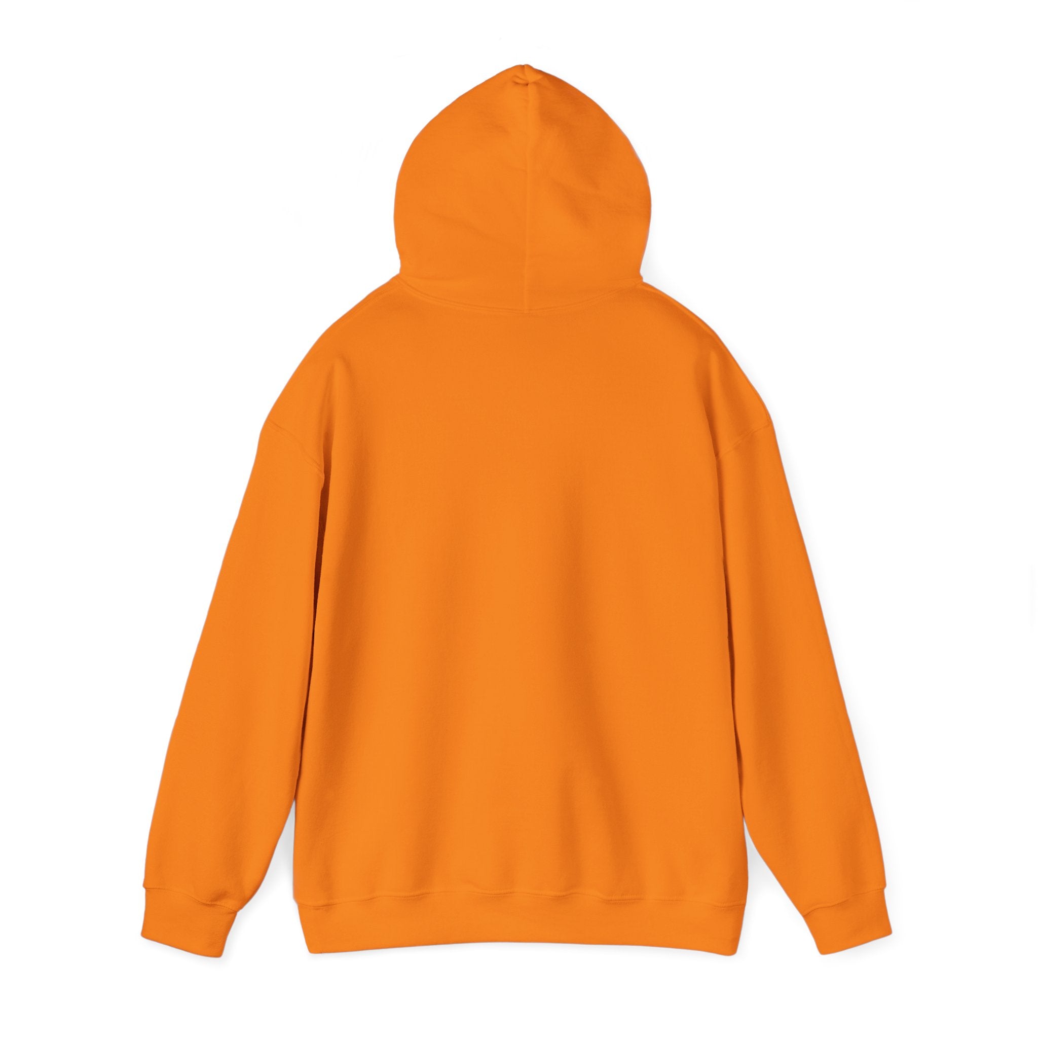 Cozy Unisex Hooded Sweatshirt - Perfect for Relaxation & Everyday Wear RTS Special Color Carolina Blue