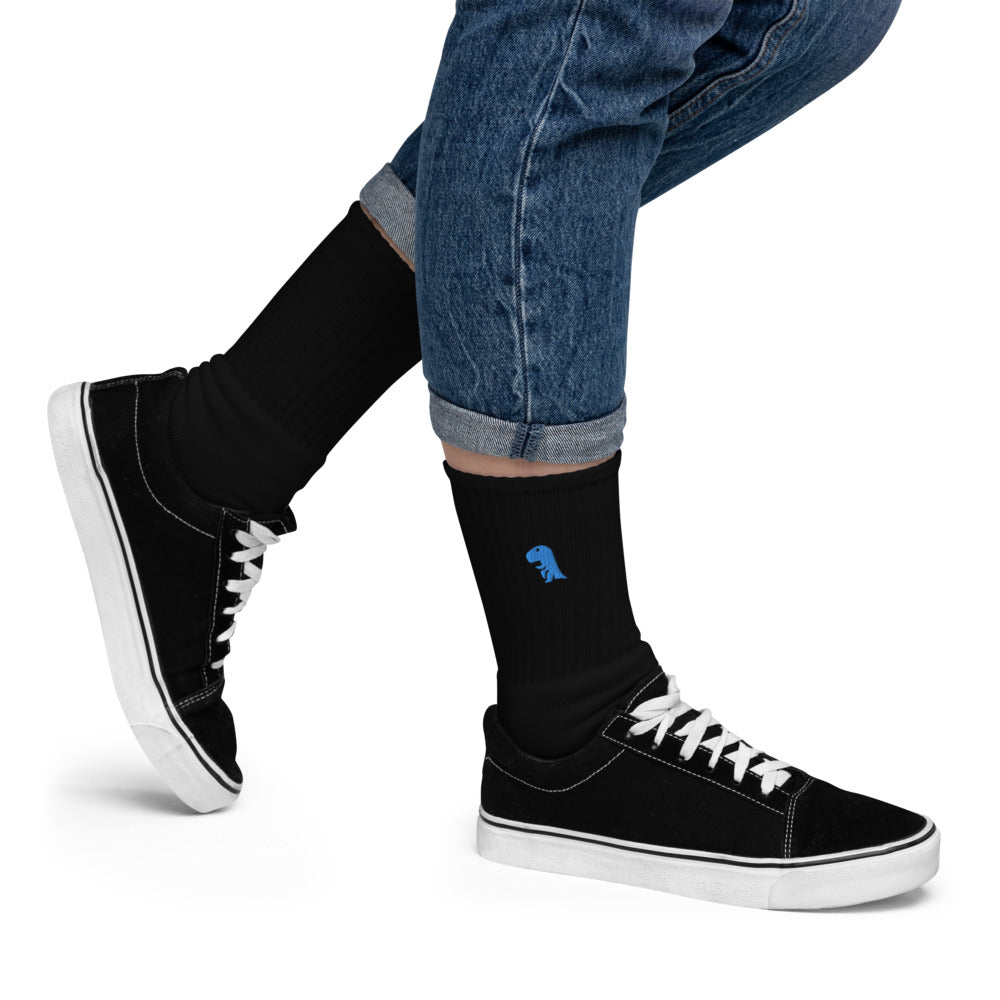 Blue Chompy Embroidered socks