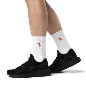 Orange Embroidered Chompy Socks