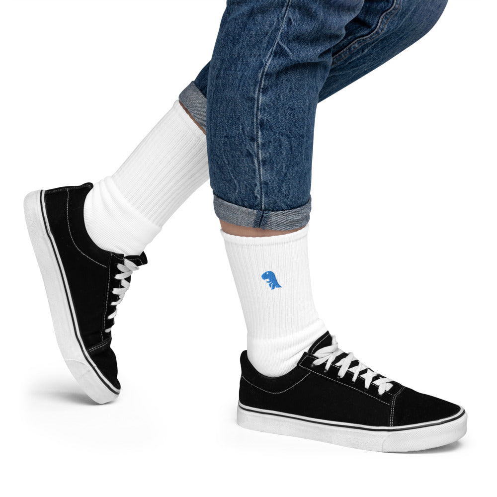 Blue Chompy Embroidered socks