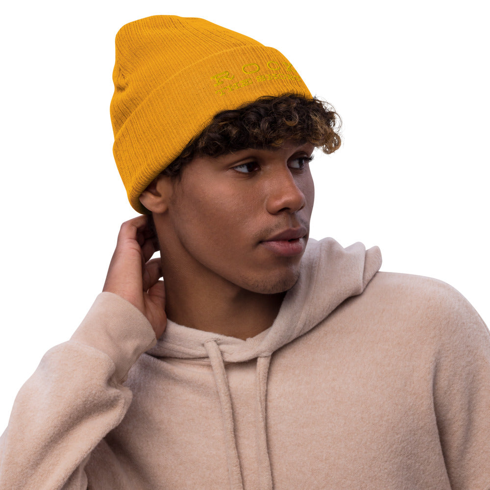 Rock the Short Recycled cuffed beanie